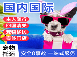 兴东航空货运国际宠物托运 【国